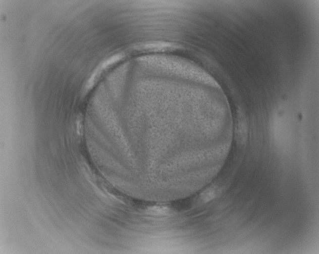 X0000051890119200507151949