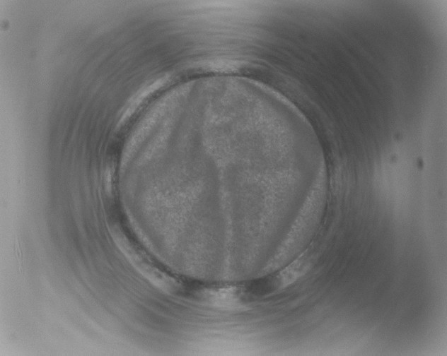 X0000051890120200507151949