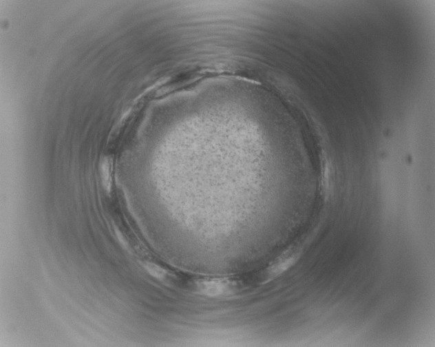 X0000051890121200507151949