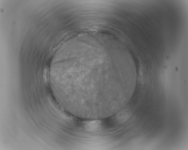 X0000051890122200507151949