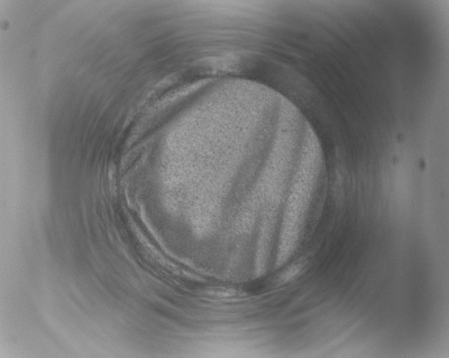 X0000051890123200507151949