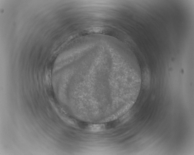 X0000051890126200507151949