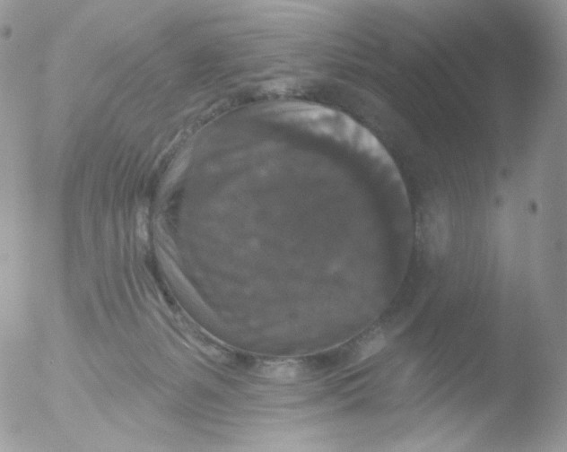 X0000051890127200507151949