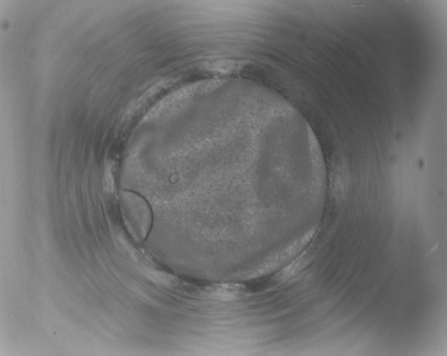 X0000051890128200507151949