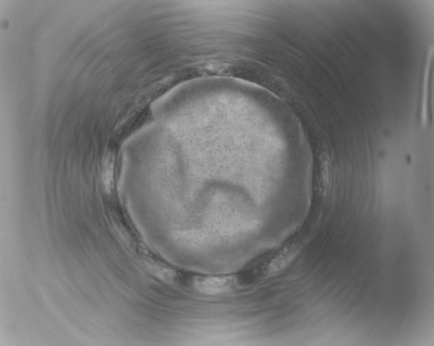 X0000051890129200507151948