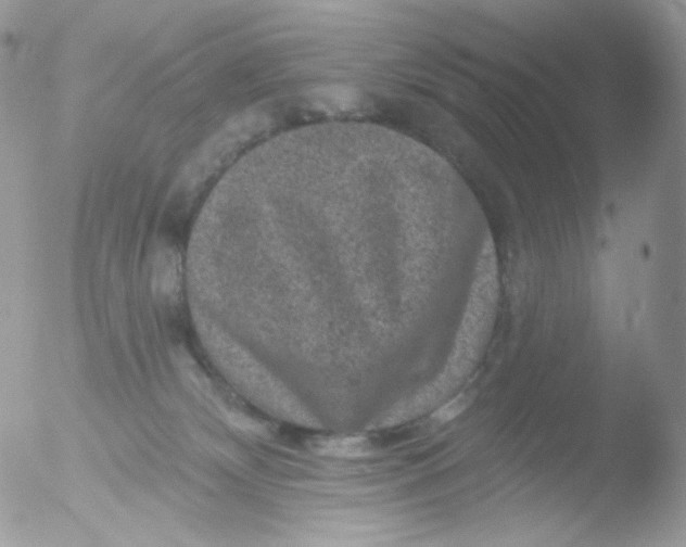 X0000051890132200507151948