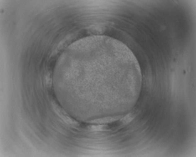 X0000051890134200507151948