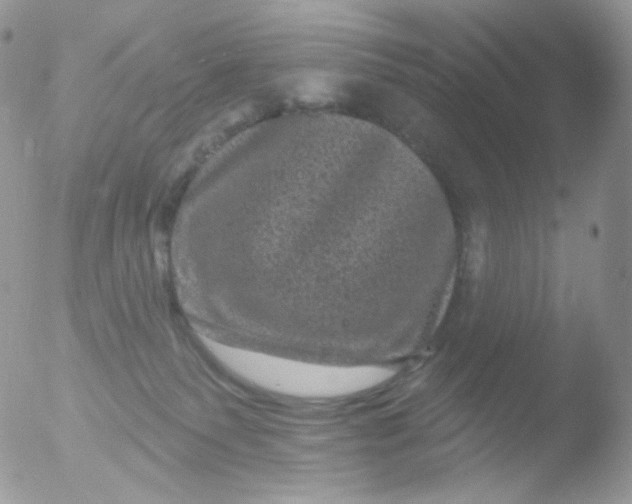 X0000051890135200507151948