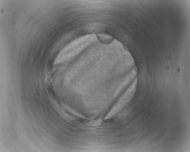 X0000051890138200507151948