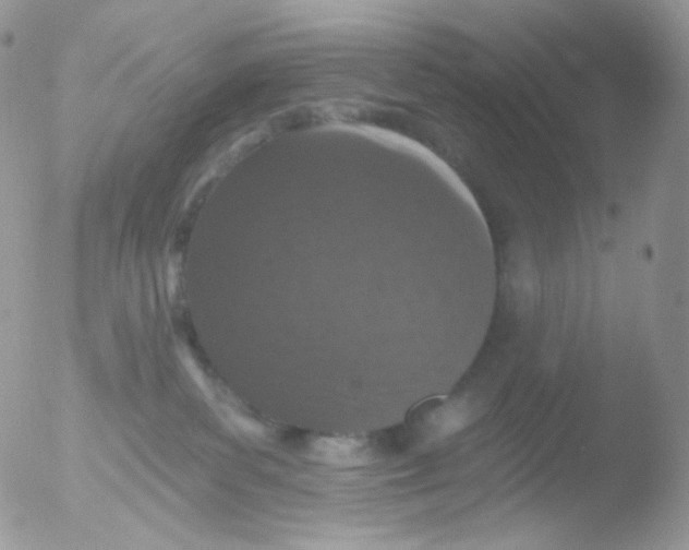 X0000051890139200507151948