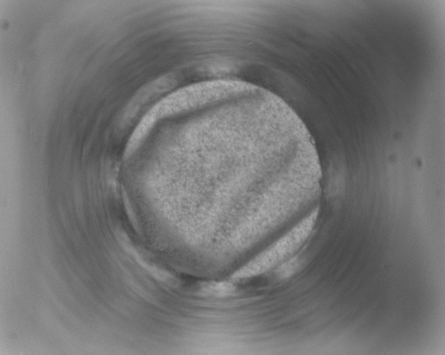 X0000051890140200507151948