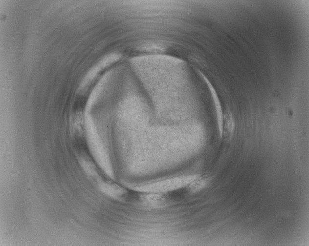 X0000051890141200507151948