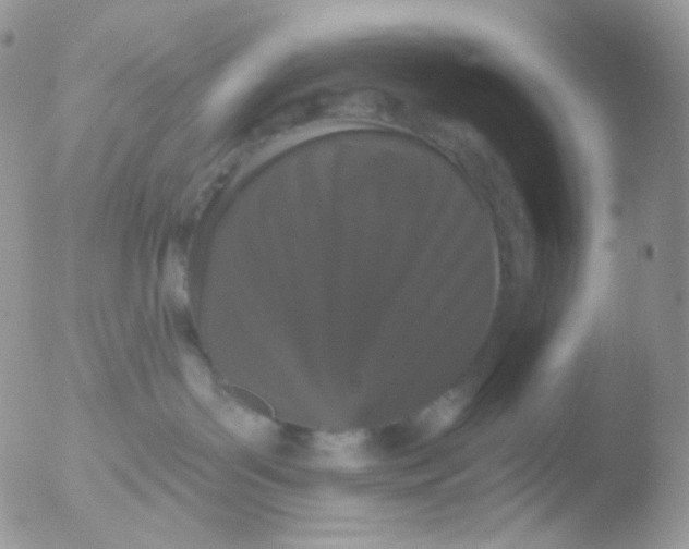 X0000051890143200507151948