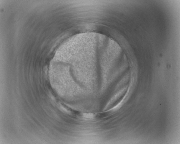 X0000051890144200507151948