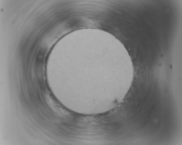 X0000051890146200507151947