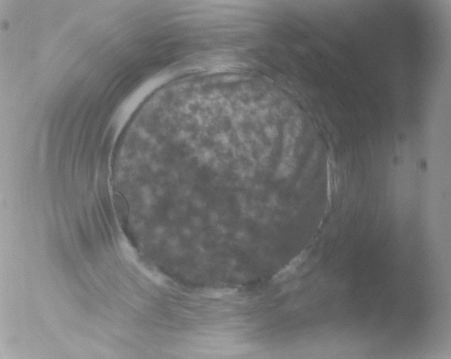 X0000051890147200507151947