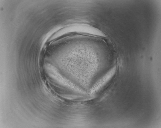 X0000051890148200507151947