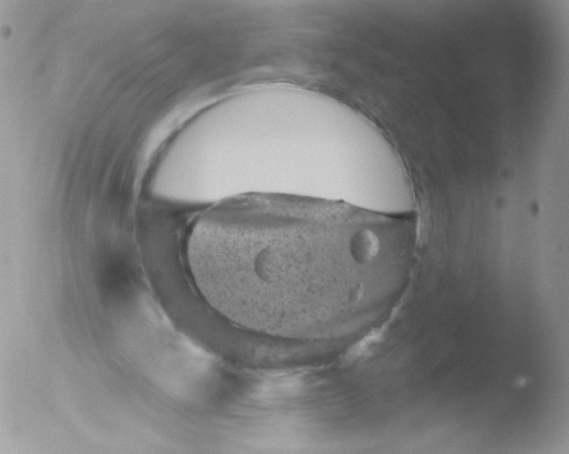 X0000051890150200507151948