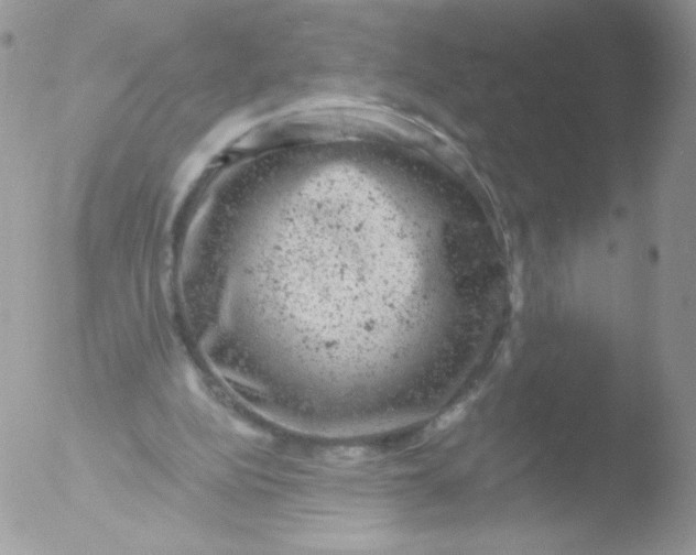 X0000051890152200507151948