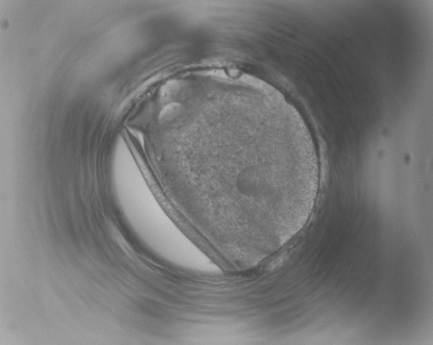 X0000051890154200507151948