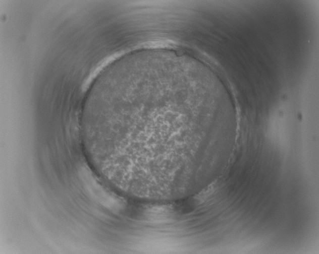 X0000051890155200507151948