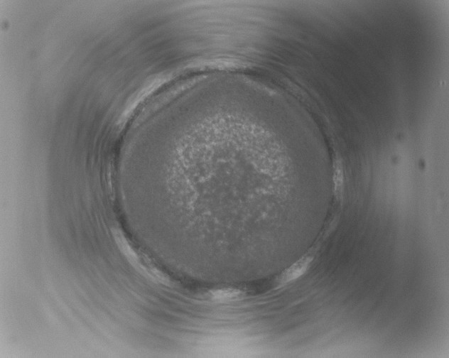 X0000051890158200507151948