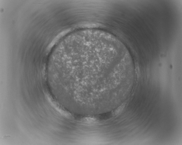 X0000051890159200507151948