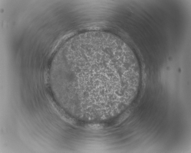 X0000051890161200507151948