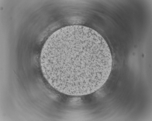 X0000051890162200507151948