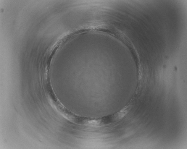 X0000051890163200507151948