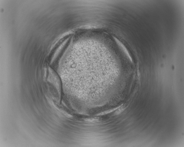 X0000051890164200507151948