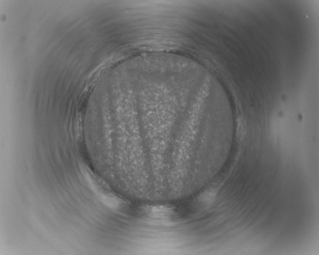 X0000051890165200507151948