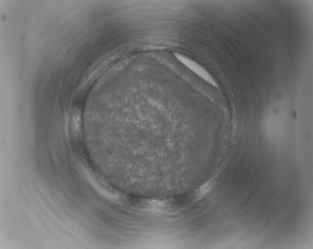 X0000051890166200507151948