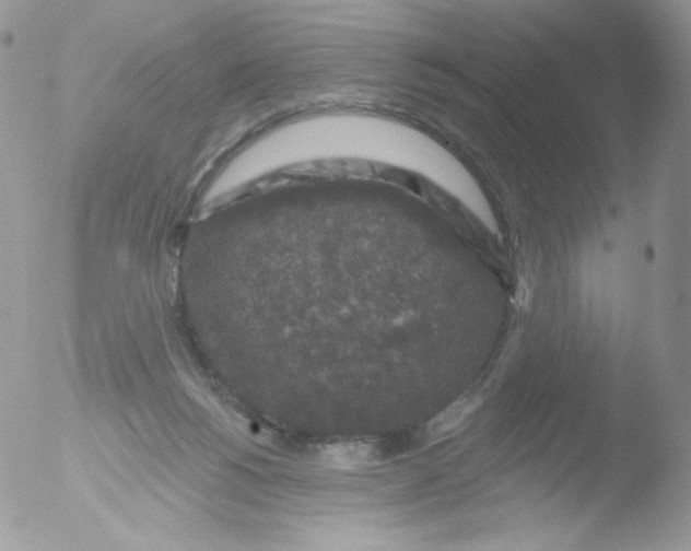 X0000051890168200507151948