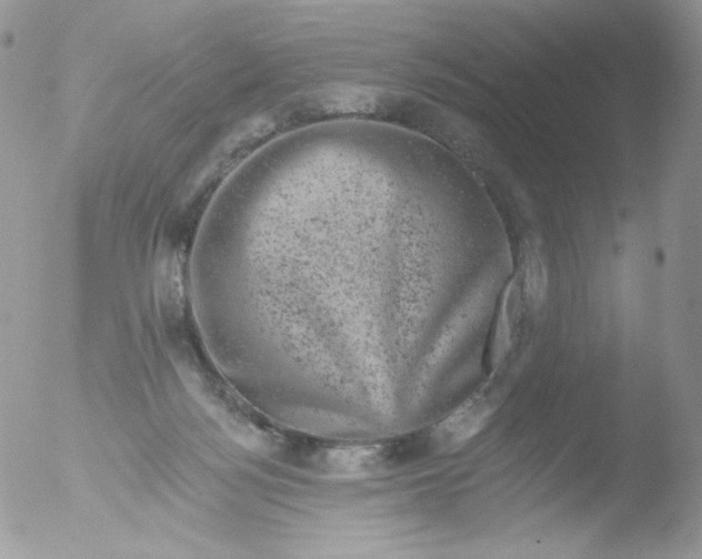 X0000051890172200507151948