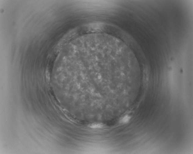 X0000051890173200507151948