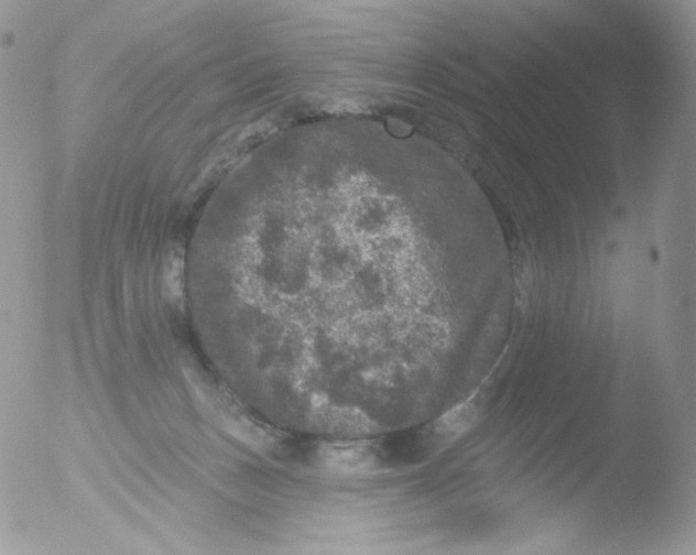 X0000051890175200507151948