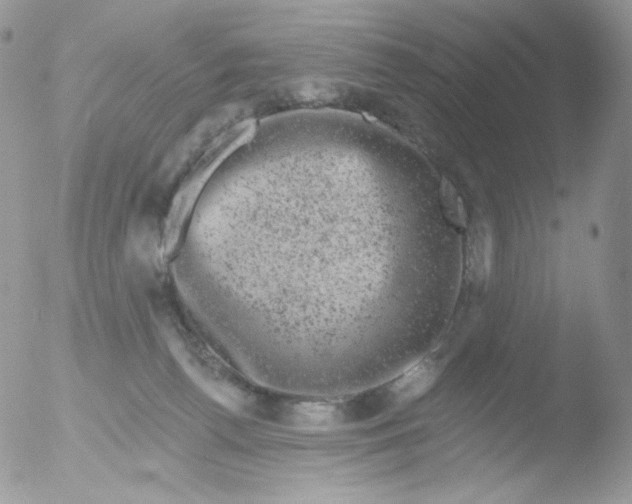 X0000051890176200507151948