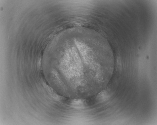 X0000051890177200507151948