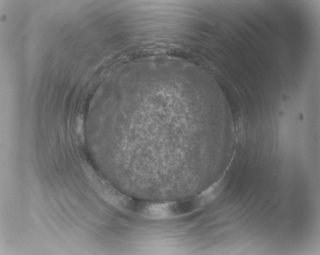 X0000051890178200507151948