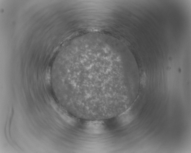 X0000051890179200507151948