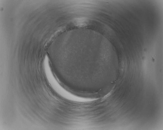 X0000051890180200507151948