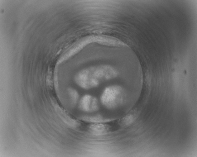 X0000051890181200507151948