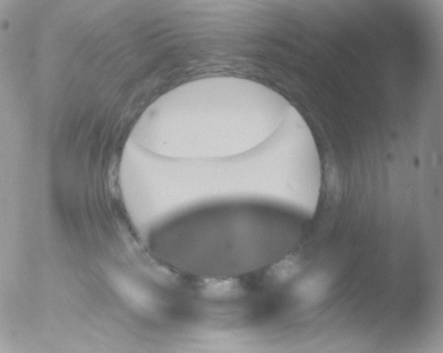 X0000051890185200507151948