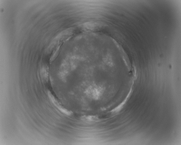 X0000051890186200507151948