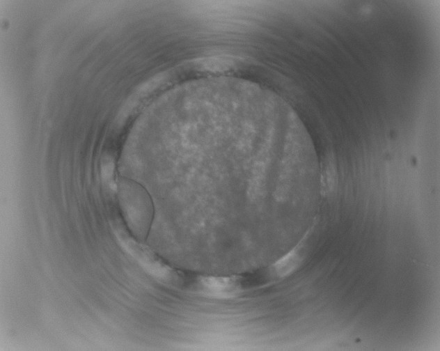 X0000051890187200507151948