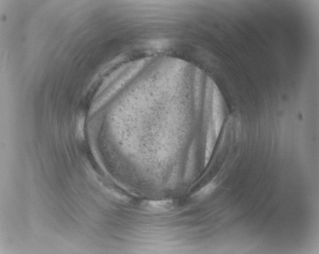 X0000051890188200507151948