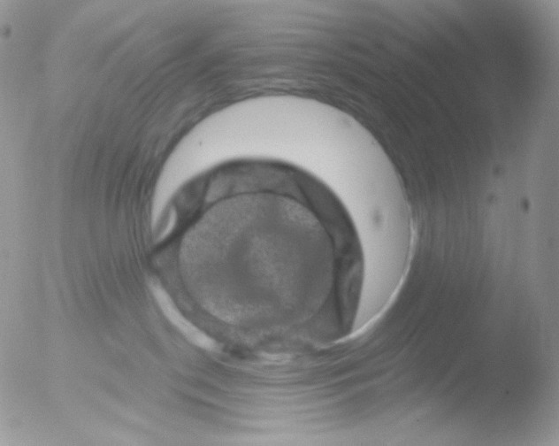 X0000051890190200507151948