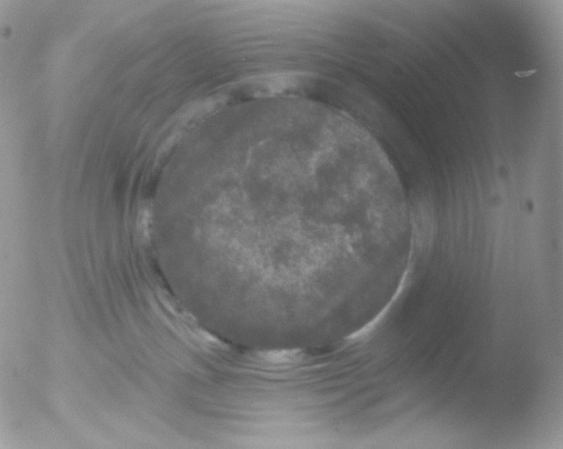 X0000051890191200507151948