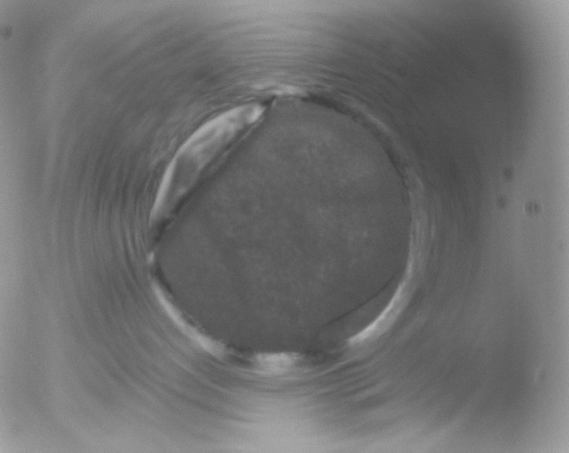 X0000051890192200507151948